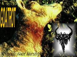 Goatrot (USA-1) : Frenetic Goat Worship